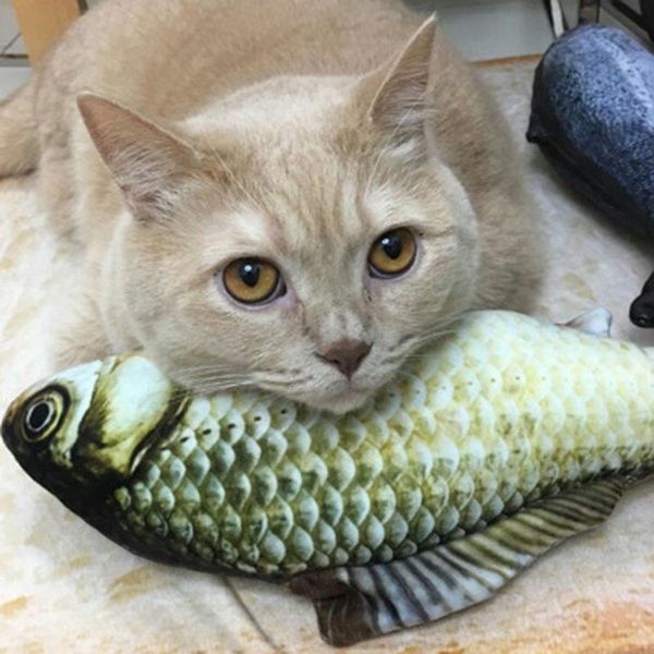 

cat toys 1 pcs 3d fish shape soft plush catnip toy pet supplies interactive gifts simulation doll
