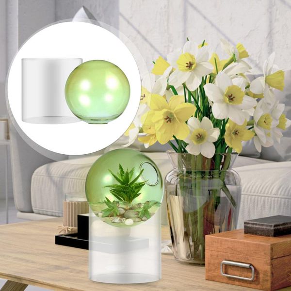 

vases 1pc glass hydroponic vase useful plants container water planter