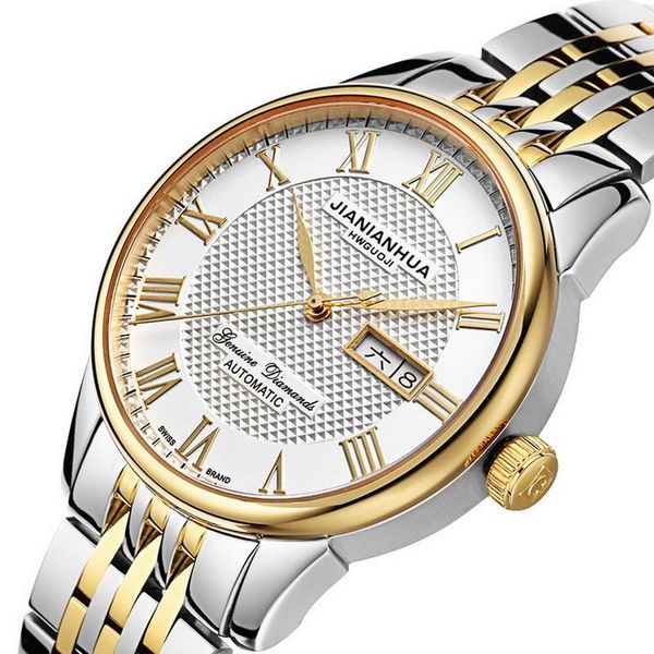 

switzerland carnival men watches auto self-wind watch sapphire reloj hombre 100m waterproof relogio clock c8605g-3 wristwatches, Slivery;brown