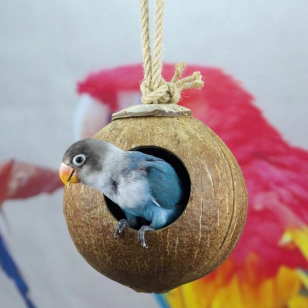 

bird nest creative natural coconut hanging house swing toy for summer small pet parakeets finches sparrows cages