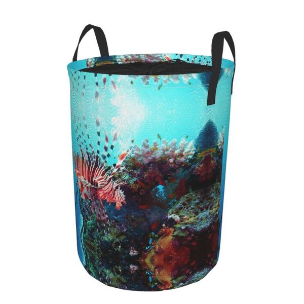

diving laundry bags