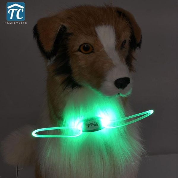 

dog collars & leashes 2pcs luminous collar glow in the dark leash led pet adjustable water resistant flashing light safety