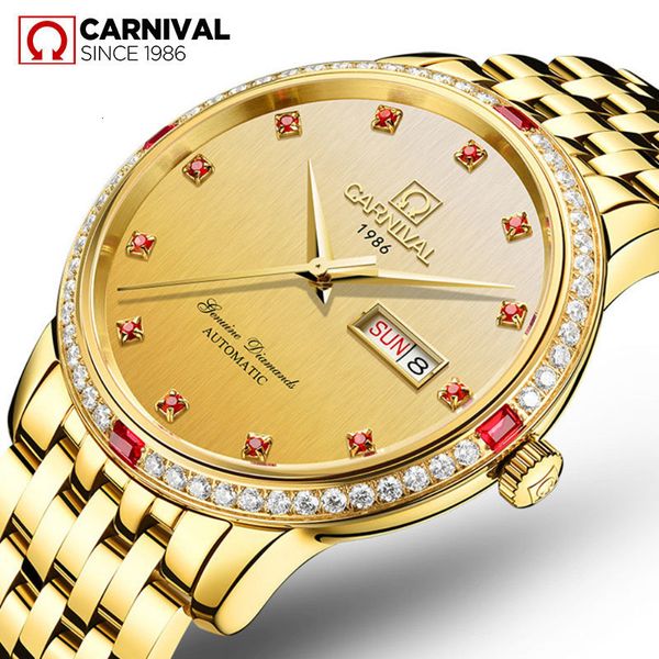 

carnaval brand luxury fashion gold automatic watches men waterproof calendar business mechanical 2021 relogio masculino, Slivery;brown