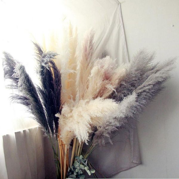 

decorative flowers & wreaths 70cm 5pcs pampas grass dried real dry plant props wedding decoration home party decor natural artificial flower