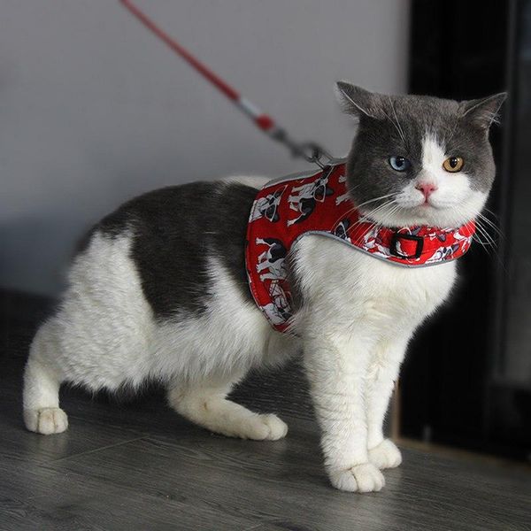 

pet collar adjustable dog harness vest reflective anti-strike chest strap traction walking lead leash for collars & leashes
