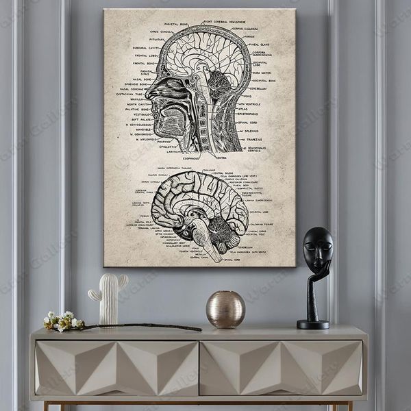 

paintings painting doctors office wall art decor vintage human head and brain anatomy canvas prints decoration picture