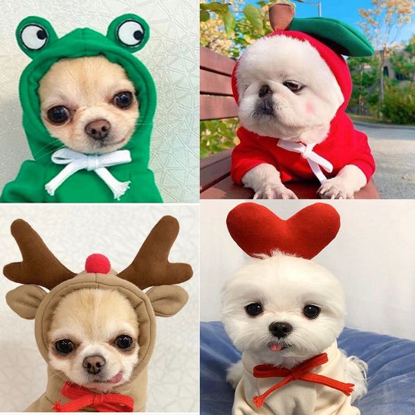 

fruit turns into cat small medium large dog autumn winter sweater fleece clothing pet teddy fadou
