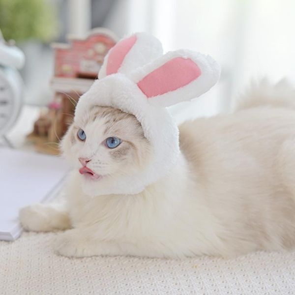 

cute cosplay pet accessories cotton hat decorative party cap for cats small dogs adjustable headwears cat puppy dog apparel