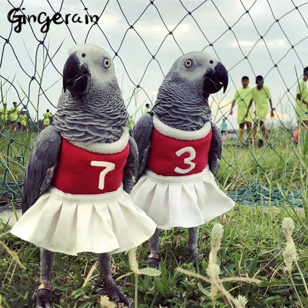 

other bird supplies gingerain clothes parrot cheering squad original hand-made custom hooded sweater