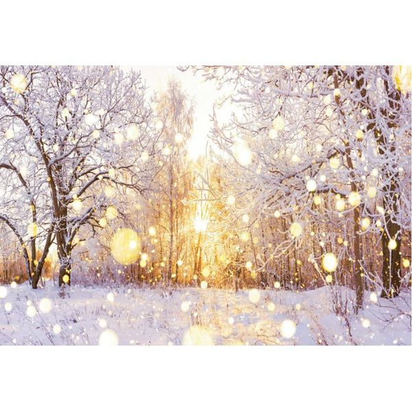 

party decoration christmas pography backdrops borns xmas decor background snowy family holiday celebration pobooth props