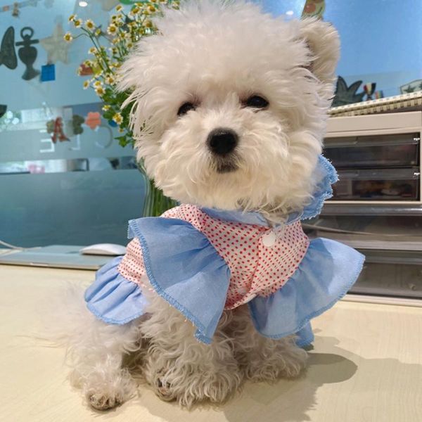

cat costumes summer lace tullle dresses pet clothes for small party birthday wedding bowknot dress puppy costume spring