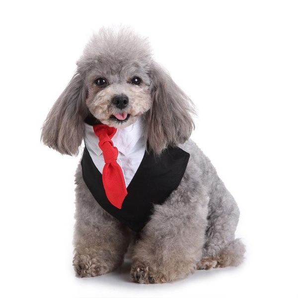 

dog apparel clothes bowtie tie s pet suit