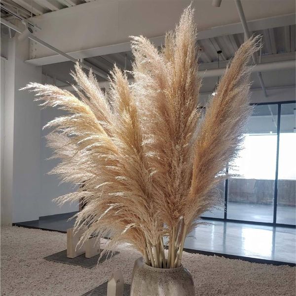 

100pcs wedding flowers pampas grass large size fluffy for home christmas decor natural plants white dried flower decorative & wreaths