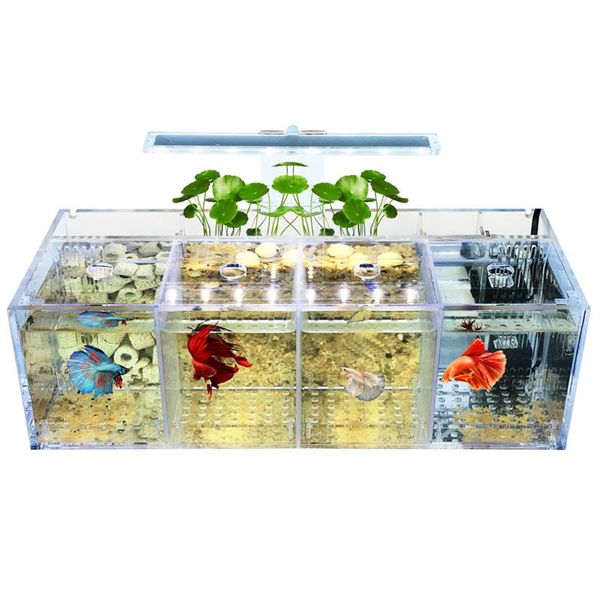 

aquariums creative betta fish tank breeding incubator isolation box water-desksmall acrylic ecological aquarium