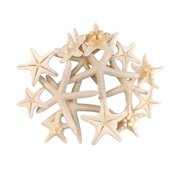 

novelty items 4-8cm 1-6pcs white starfish craft decoration natural finger sea star wedding decor seashells seafish party beige seastar