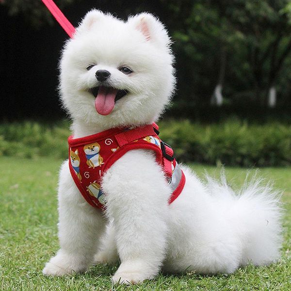 

dog collars & leashes pet night walking leash set reflective vest harness with