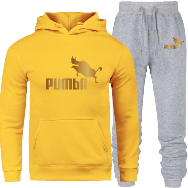 

casual fashion sports hooded cardigan suit men's autumn and winter thick stitching brand men's suit, Gray