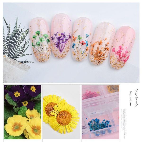 

nail art decorations 12 grid dried flower rhinestones kit multicolor shra889, Silver;gold