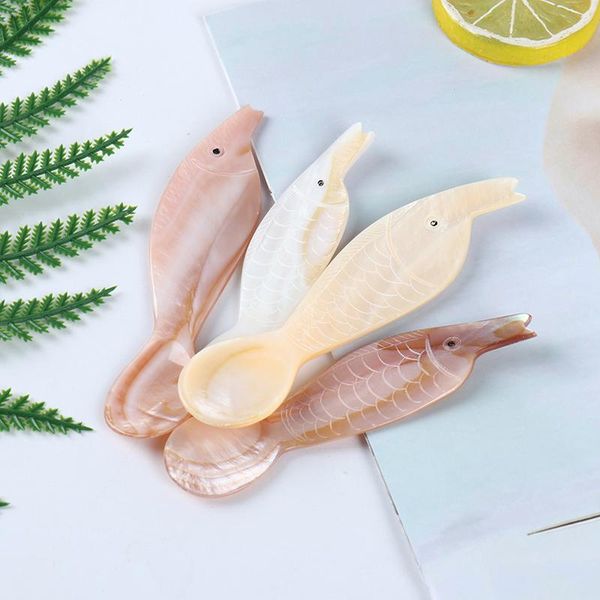 

natural conch shell spoon caviar seashells coffee tableware cake desserts forks