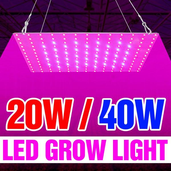 

phyto grow lamps led growth light ac85-265v full spectrum plant fitolampy 20w 40w for indoor flowers seeding cultivation 2835smd lights
