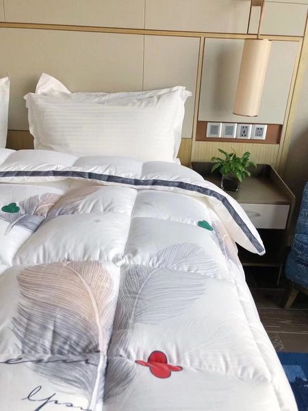 

Wholesale Selg Duvet Comforter HOTEL DOWN Quilt From European King--Top Grade Worldwide Hotel bedding 200&230CM, White