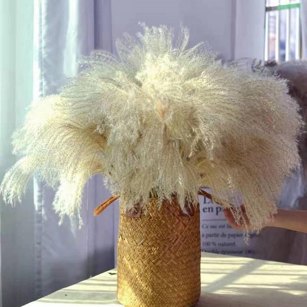 

30pc/lot wedding natural dried flowers bouquet real pampas grass decor birthday party bohemian home country farmhous decoration decorative &