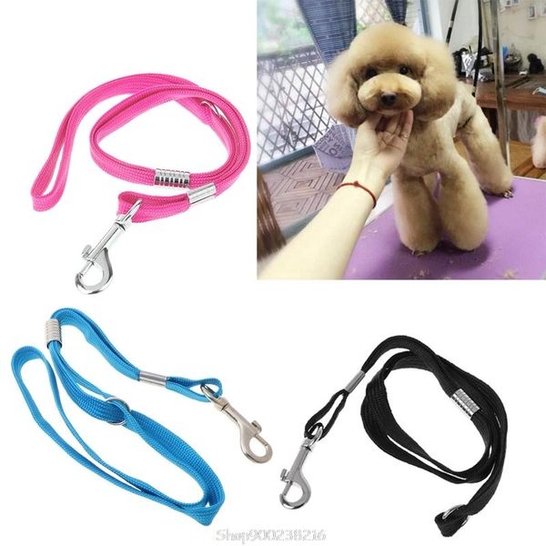 

pet leash nylon cat dog grooming loop cable rope leashes for beauty bathing o31 20 dropship collars &