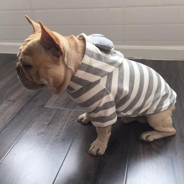 

dog sweater cat costumes