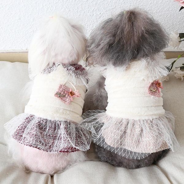 

dog apparel cute bag winter small puppy princess dress pet cat tutu skirt jacket coat chihuahua hoodie clothes