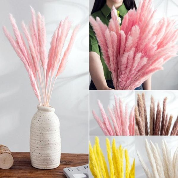 

colors natural dried flowers small pampas grass phragmites for decor decoration home diy plants artificial wedding flower p5f3 decorative &