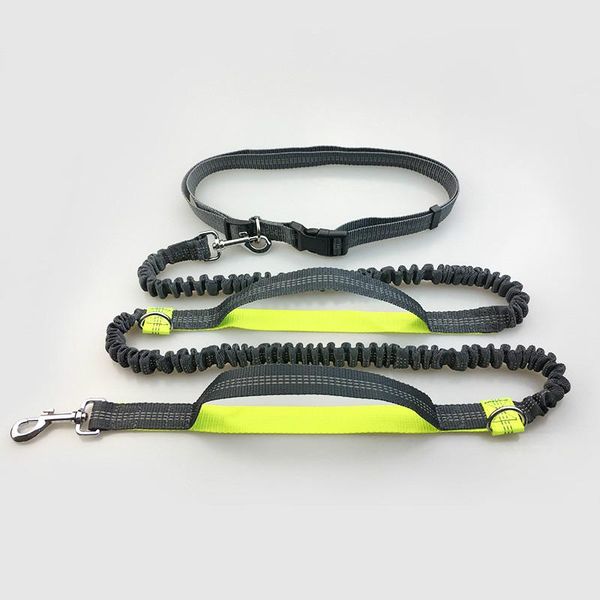 

dog collars & leashes hands-pet cat running jogging padded waist reflective belt elastic strap perfect training leash set