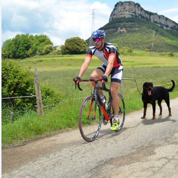 

dog collars & leashes pet supplies bicycle walk leash