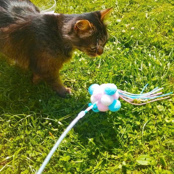 

cat toys interactive for playing soft pet toy stick with tassel colorful ball short plush fun small bells