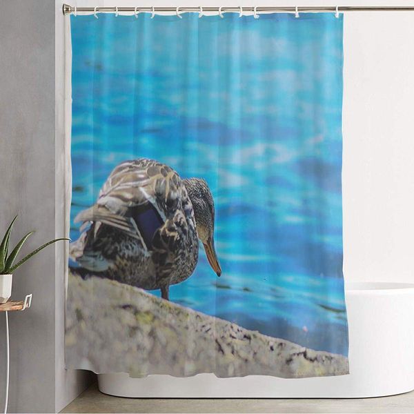 

shower curtain for bathroom colorful lakeside duck kirkland town drinking water greenlake isolated landscape at lake animals