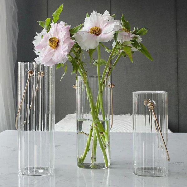 

vases ins style flower vase minimalist glass plant bottle with handle terrarium hydroponic container nordic deskdecoration
