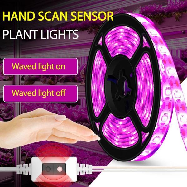 

grow lights plant growth light led planting fill dimming full spectrum indoor succulent flower seedling fitolamp strip