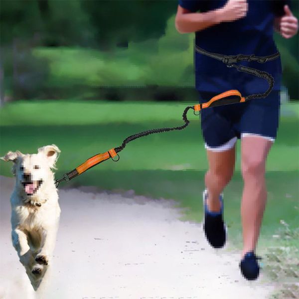 

multifunction dog leash pet sport adjustable walking hand reflective double handle rope coleira cachorro harnesses ab50xq collars & leashes