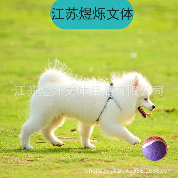 

1.9 inch 48cm elastic tennis bite resistant training dog ball toy