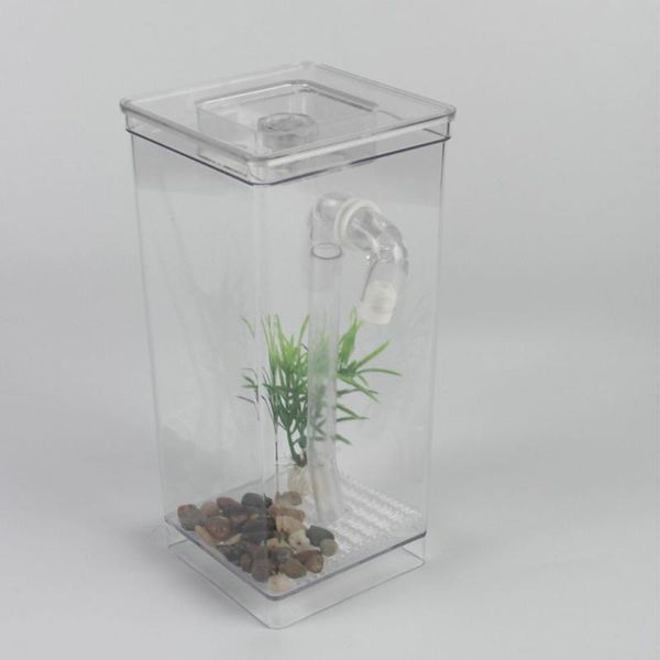 

aquariums deskself-cleaning home decor goldfish tank fish aquarium fun kit grass mini ecological aquatic pet supplies