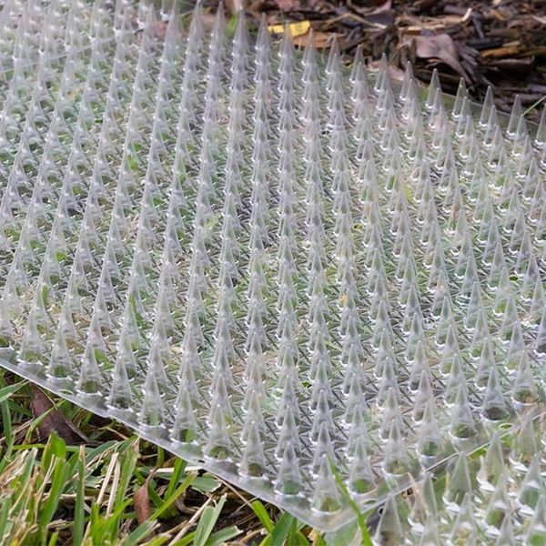 

cat carriers,crates & houses 6pcs garden scat mats cats net anti-cat dogs repel-lent mat prickle strips keep away safe plastic spike thorn