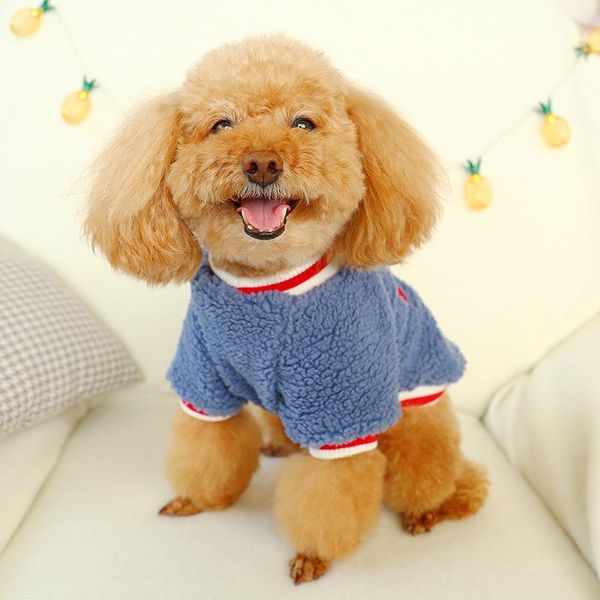 

dog apparel pet and cat clothes 2021 lambskin costume autumn winter coat
