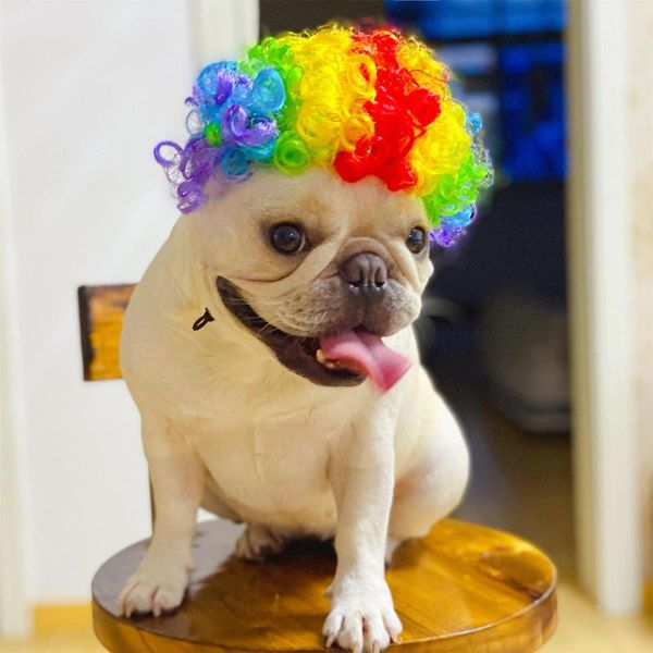 

dog apparel pet funny clothes dogs cosplay costume christmas comical outfits with wig set cat festival party clothing #j2