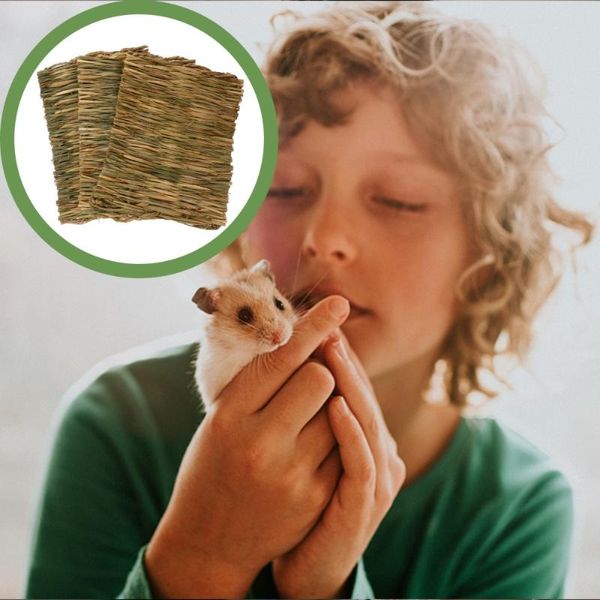 

small animal supplies 3pcs grass mat bedding hay chew for guinea hamster squirrel