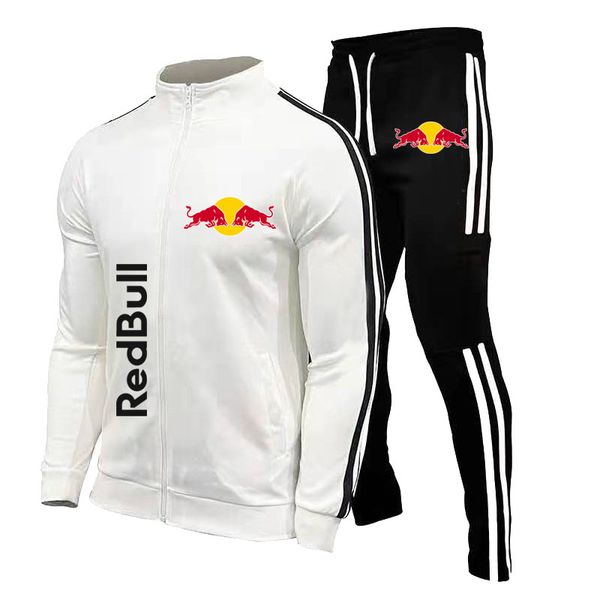 

men's 2-piece set full zipper sportswear printed street casual long-sleeved breathable soft wicking perspiration, Gray