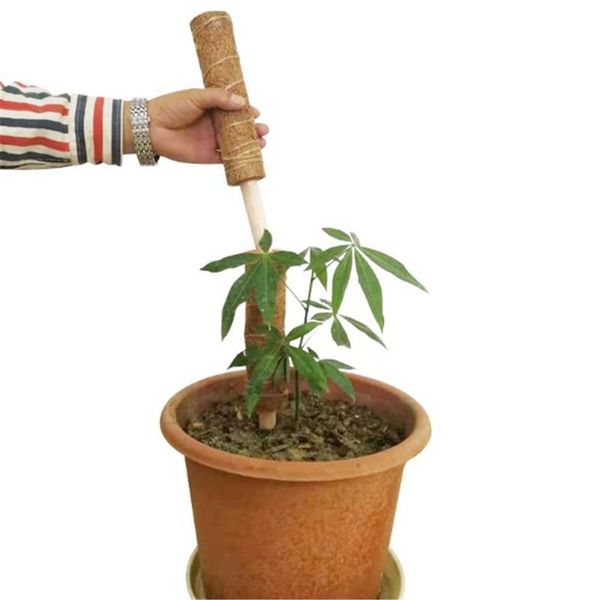 

pc creepers auxiliary tools plant climbing coir totem pole safe gardening coconut palm stick for plants vines and other garden supplies