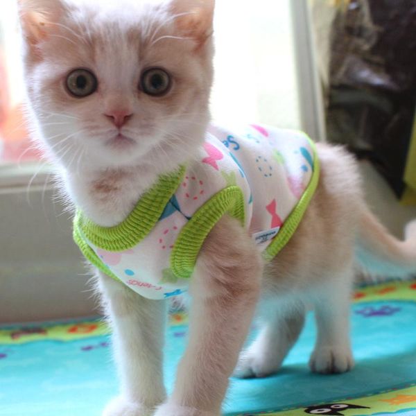 

[mpk store] 2021 design cat hoodies, cute vest in 3 designs, get all colors costumes