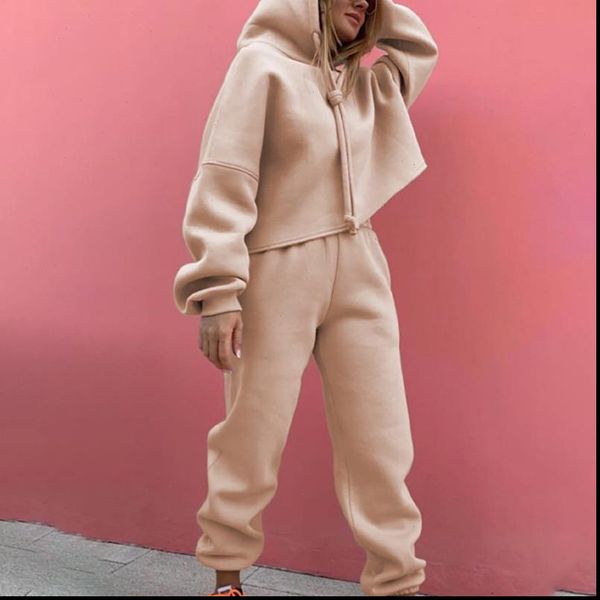 

vrouw trainingspak hooded trekkoord womens tracksuits trui lange broek trainingspakken vrouwen pak vrouwelijke sportkleding casual 2 delige, Gray