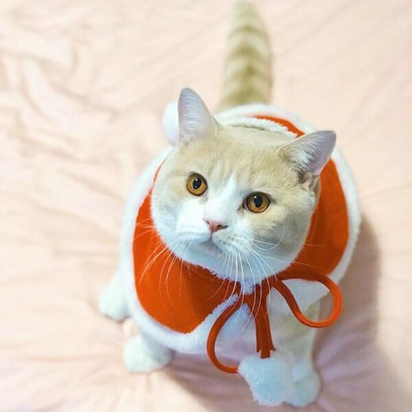

christmas pet clothes cute solid color dog and cat shawl cloak home costumes