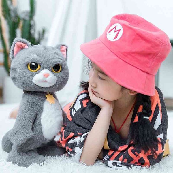 

fun nest shaking meow dancing toys electric simulation plush music cat doll hx0425