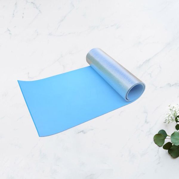 

outdoor pads foldable picnic mat lightweight pad waterproof cushion multi-functional for travel (blue 180 x 50 0.6cm)